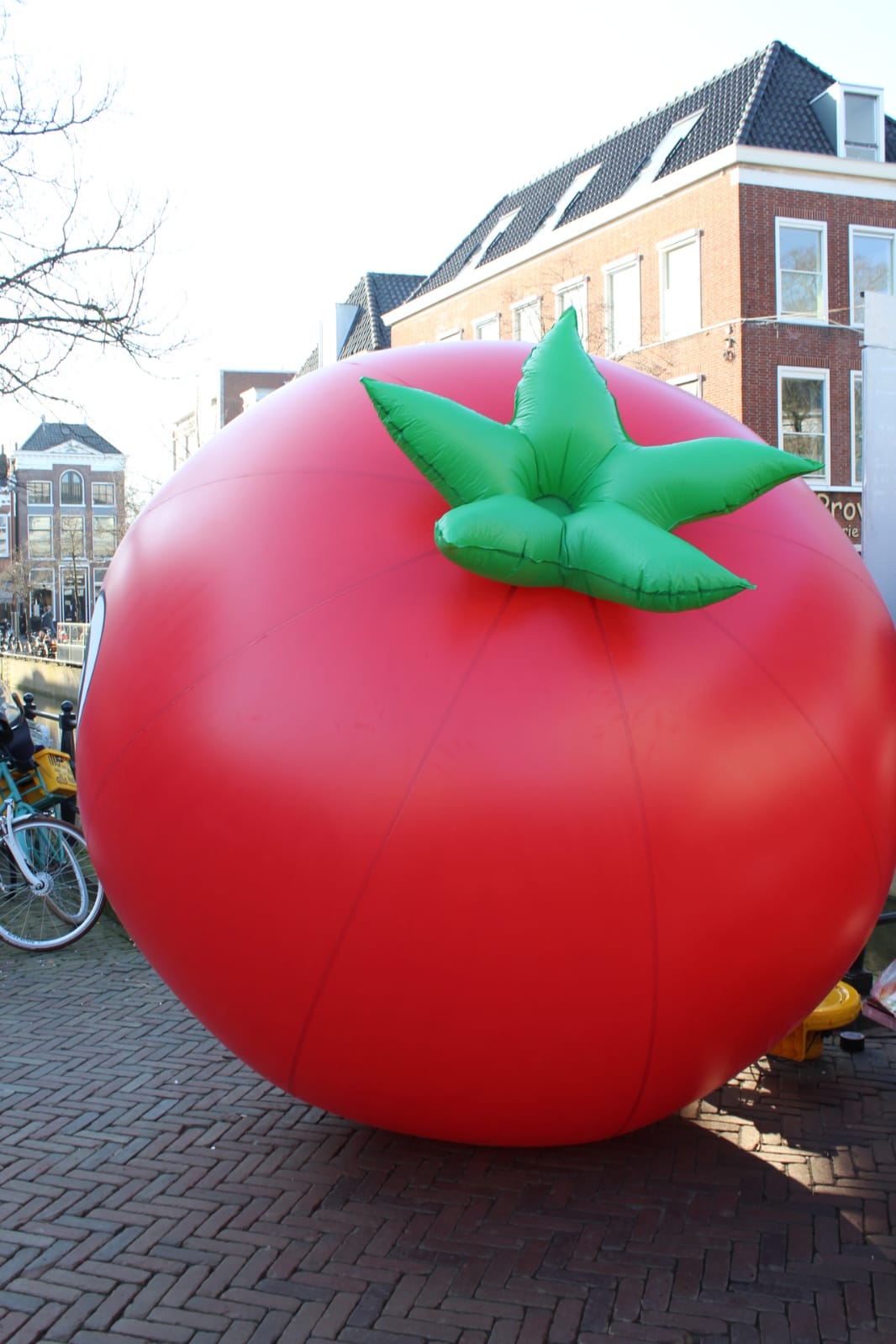 Mensen met verlies écht helpen daar zit jouw wi Omgaan met Verlies